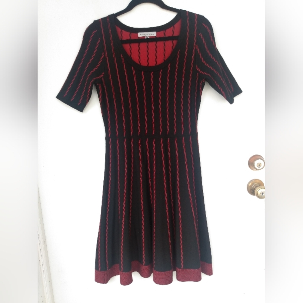 Danny And Nicole Red Black Striped Sweater Fit And Flare Dress Fall Winter